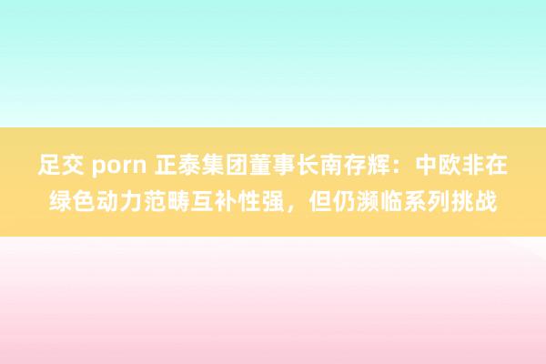 足交 porn 正泰集团董事长南存辉：中欧非在绿色动力范畴互补性强，但仍濒临系列挑战