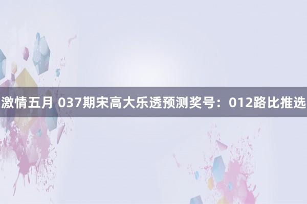 激情五月 037期宋高大乐透预测奖号：012路比推选