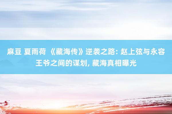 麻豆 夏雨荷 《藏海传》逆袭之路: 赵上弦与永容王爷之间的谋划， 藏海真相曝光