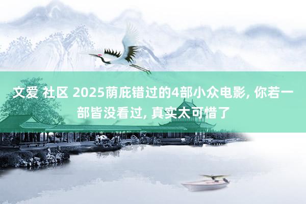 文爱 社区 2025荫庇错过的4部小众电影， 你若一部皆没看过， 真实太可惜了