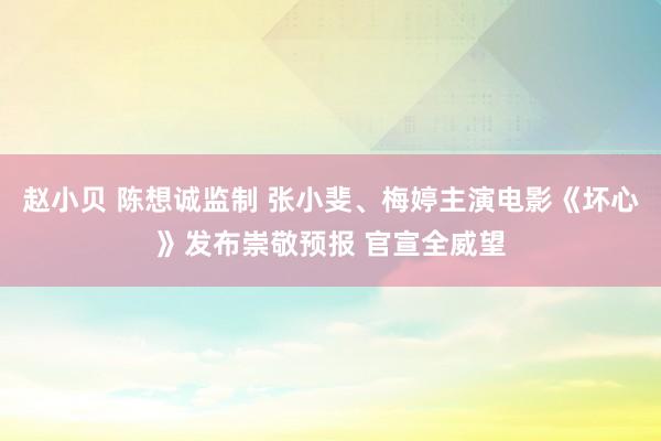 赵小贝 陈想诚监制 张小斐、梅婷主演电影《坏心》发布崇敬预报 官宣全威望