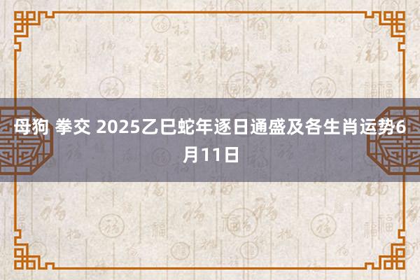 母狗 拳交 2025乙巳蛇年逐日通盛及各生肖运势6月11日