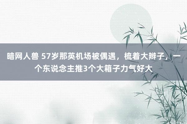 暗网人兽 57岁那英机场被偶遇，梳着大辫子，一个东说念主推3个大箱子力气好大